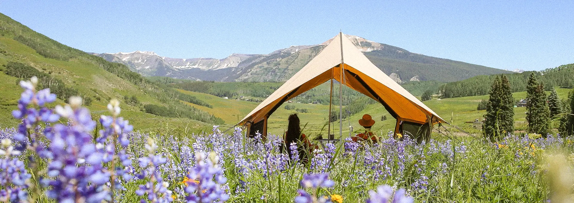 Description of image